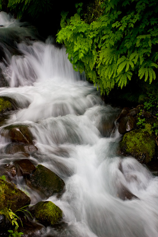 Wahkeena Creek